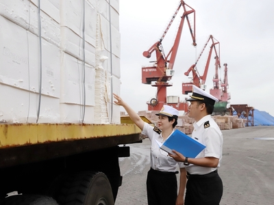 廈門(mén)海關(guān)東渡海關(guān)高效監(jiān)管進(jìn)口紙漿裝卸，保障供應(yīng)鏈暢通